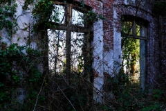 07