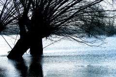 05.-Hoog-water