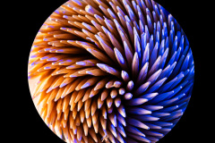 09-