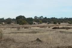 sized_Druunse duinen Hay