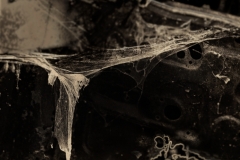 10b
