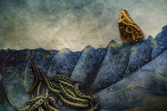 4.-