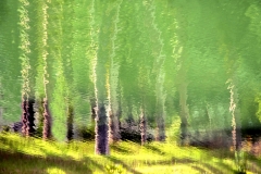 7.-wimjenniskens