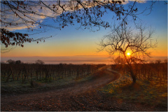 4.-jantheelen