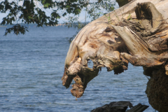 22_1727096_6_hanspeters