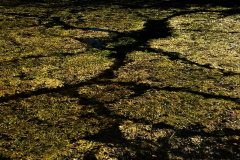 22_1727096_9_hanspeters