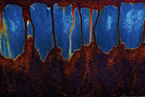 Subgroep Abstract