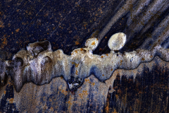 22_1727016_10_wimjenniskens