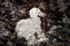 22_1727016_11_wimjenniskens