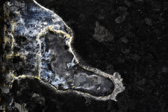 22_1727016_1_wimjenniskens