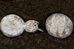 22_1727016_3_wimjenniskens