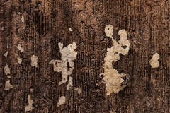 22_1727016_4_wimjenniskens