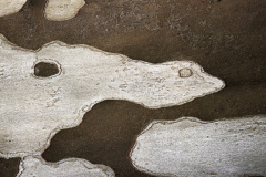 22_1727016_6_wimjenniskens