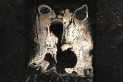 22_1727016_7_wimjenniskens