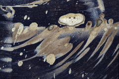 22_1727016_9_wimjenniskens